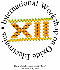 12th International Workshop on Oxide Electronics t-shirt